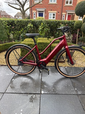 Schindelhauer Hannah Enviolo 2022