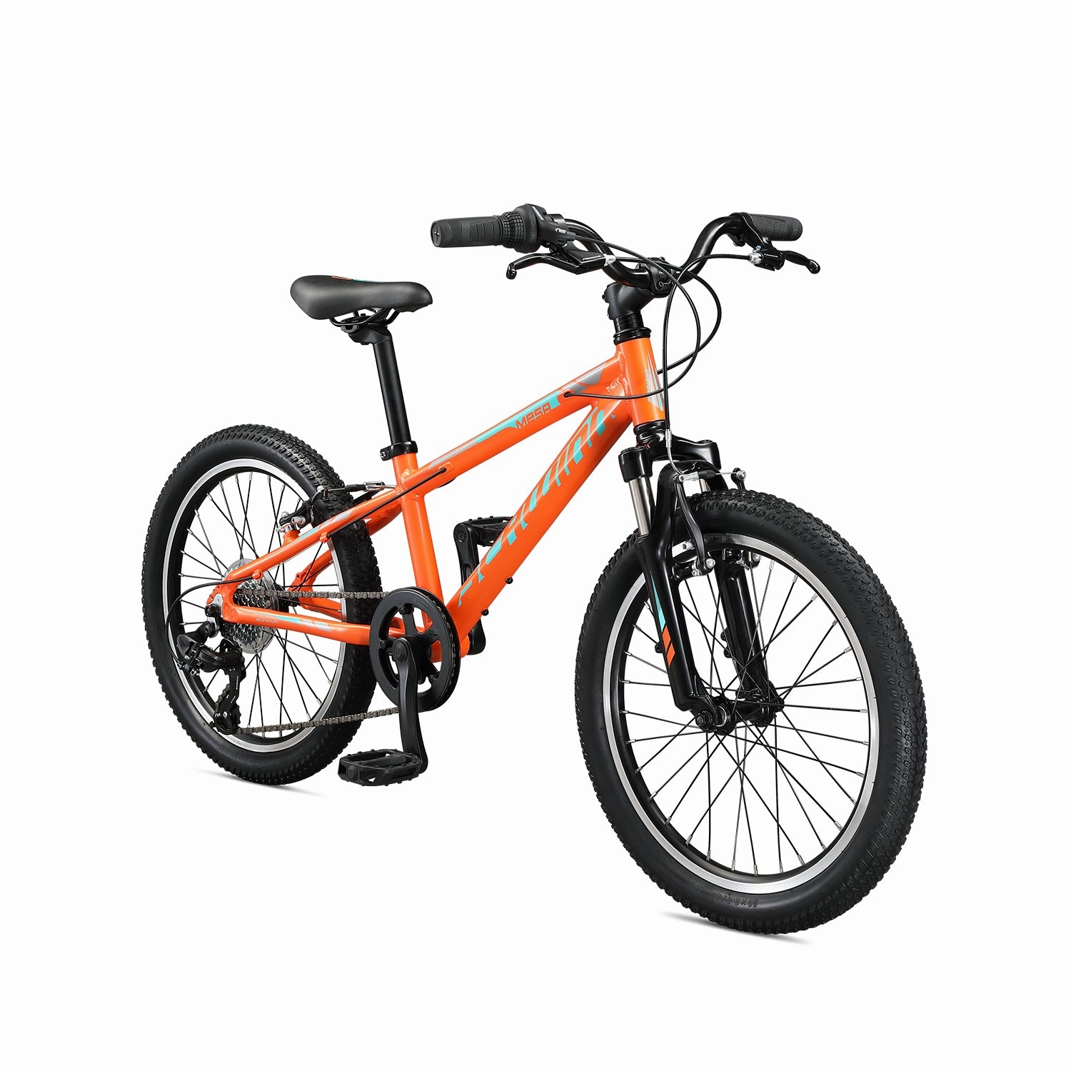 Schwinn Mesa 20" MTB