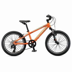 Schwinn Mesa 20" MTB