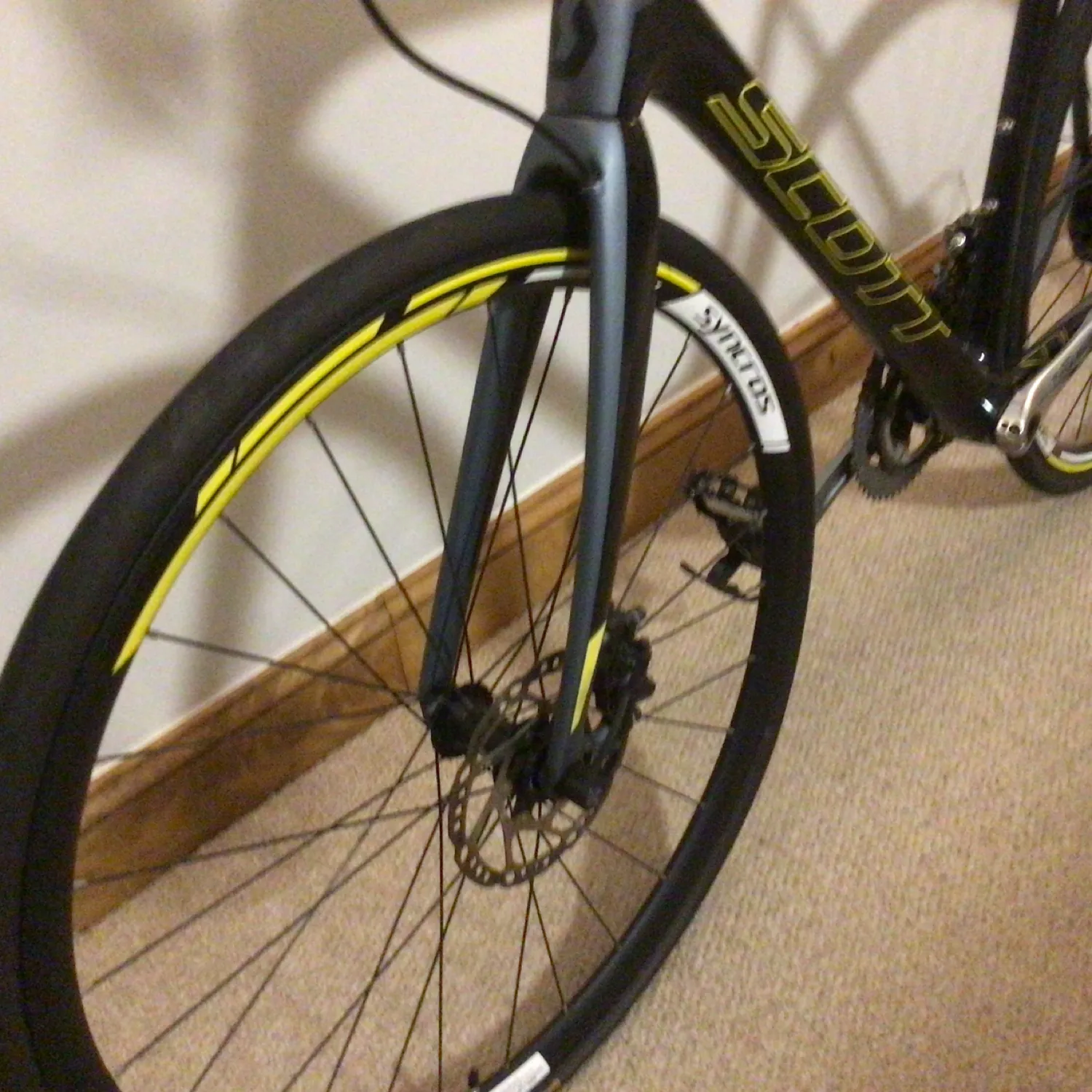 Scott Solace 10 disc 2017