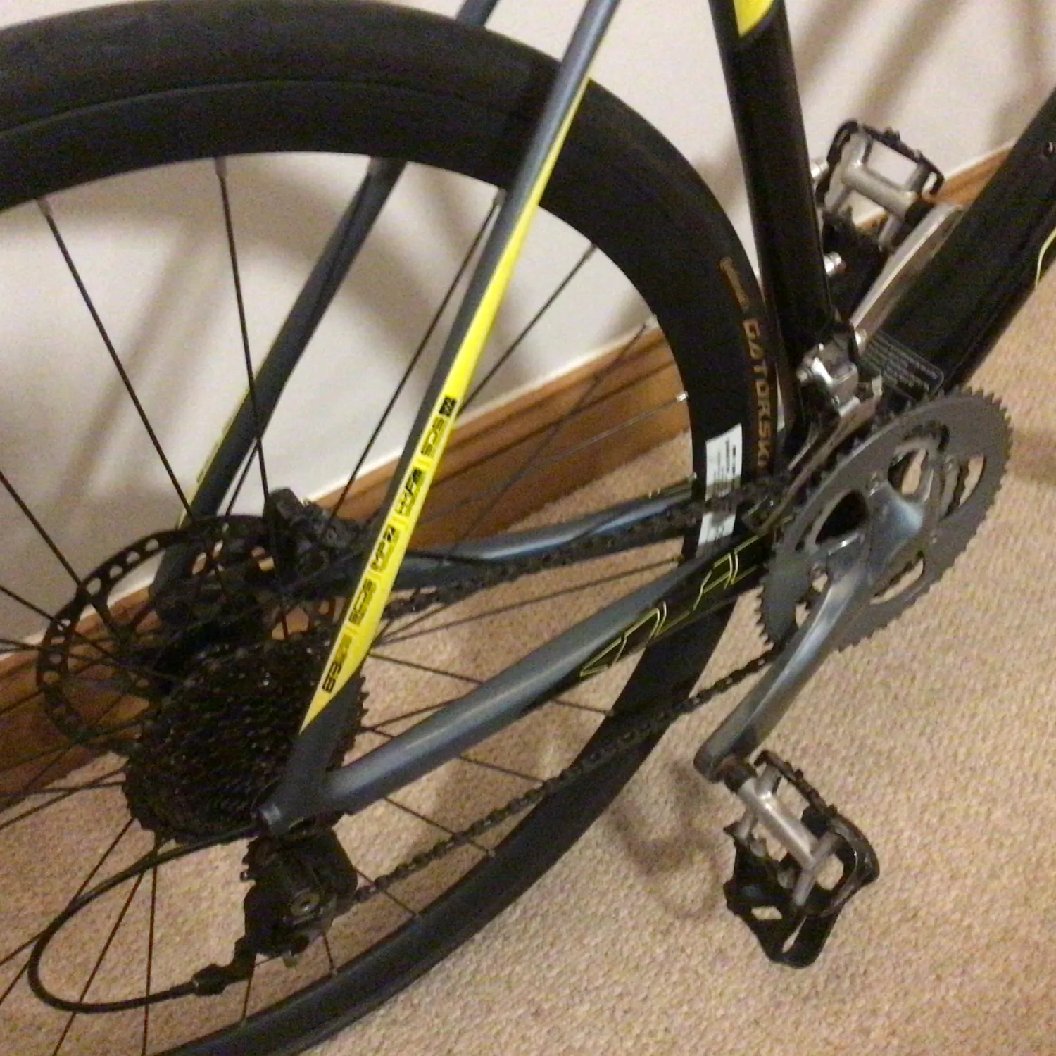 Scott Solace 10 disc 2017