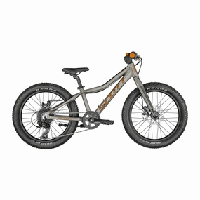 Scott Roxter 20 Bike