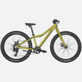 Scott Roxter 24 - Green