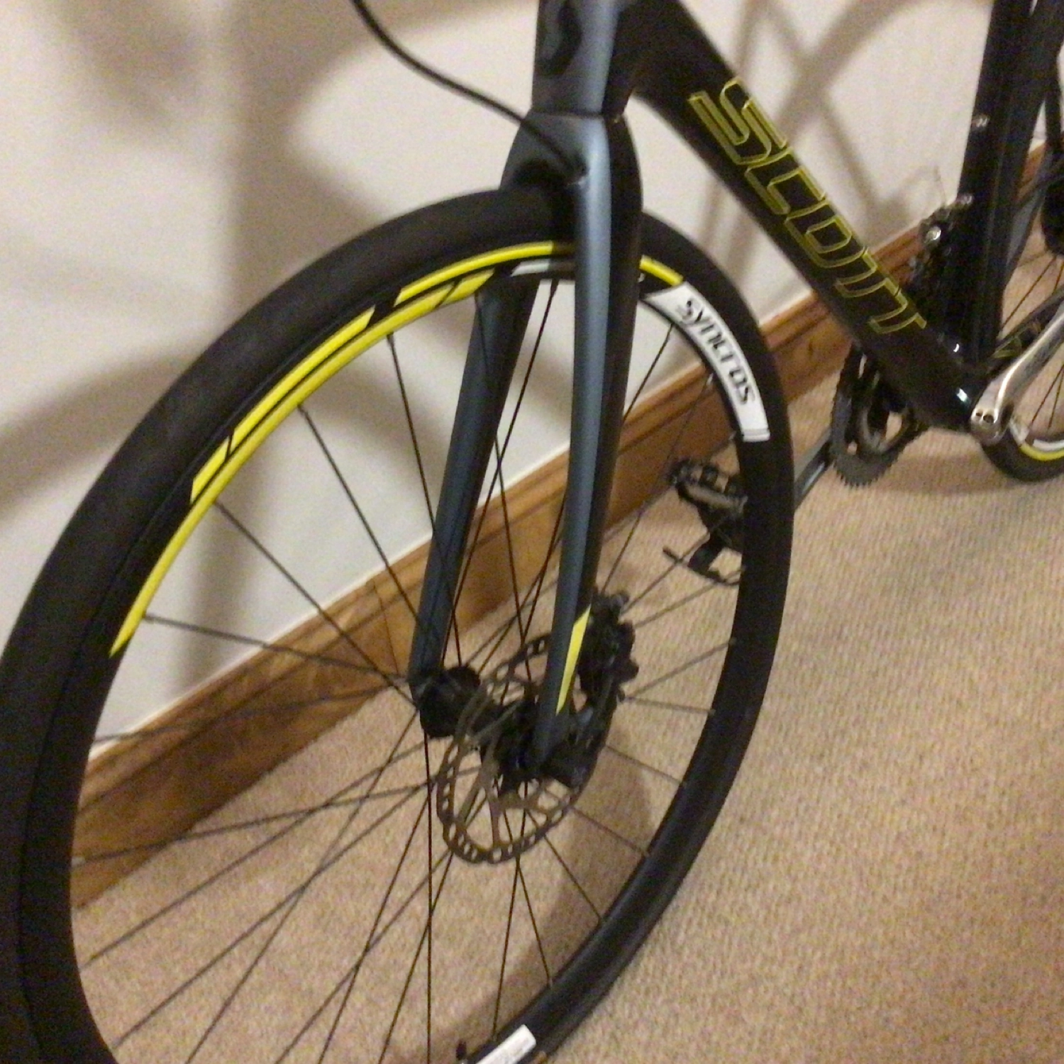 Scott Solace 10 disc 2017