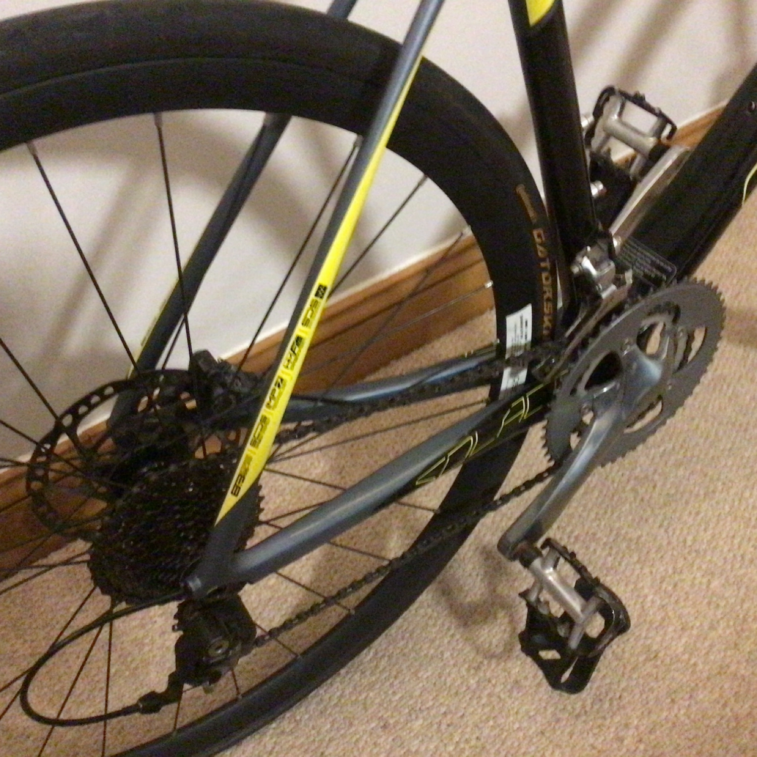 Scott Solace 10 disc 2017