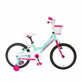 Spartan 18" Nova Bicycle - Mint