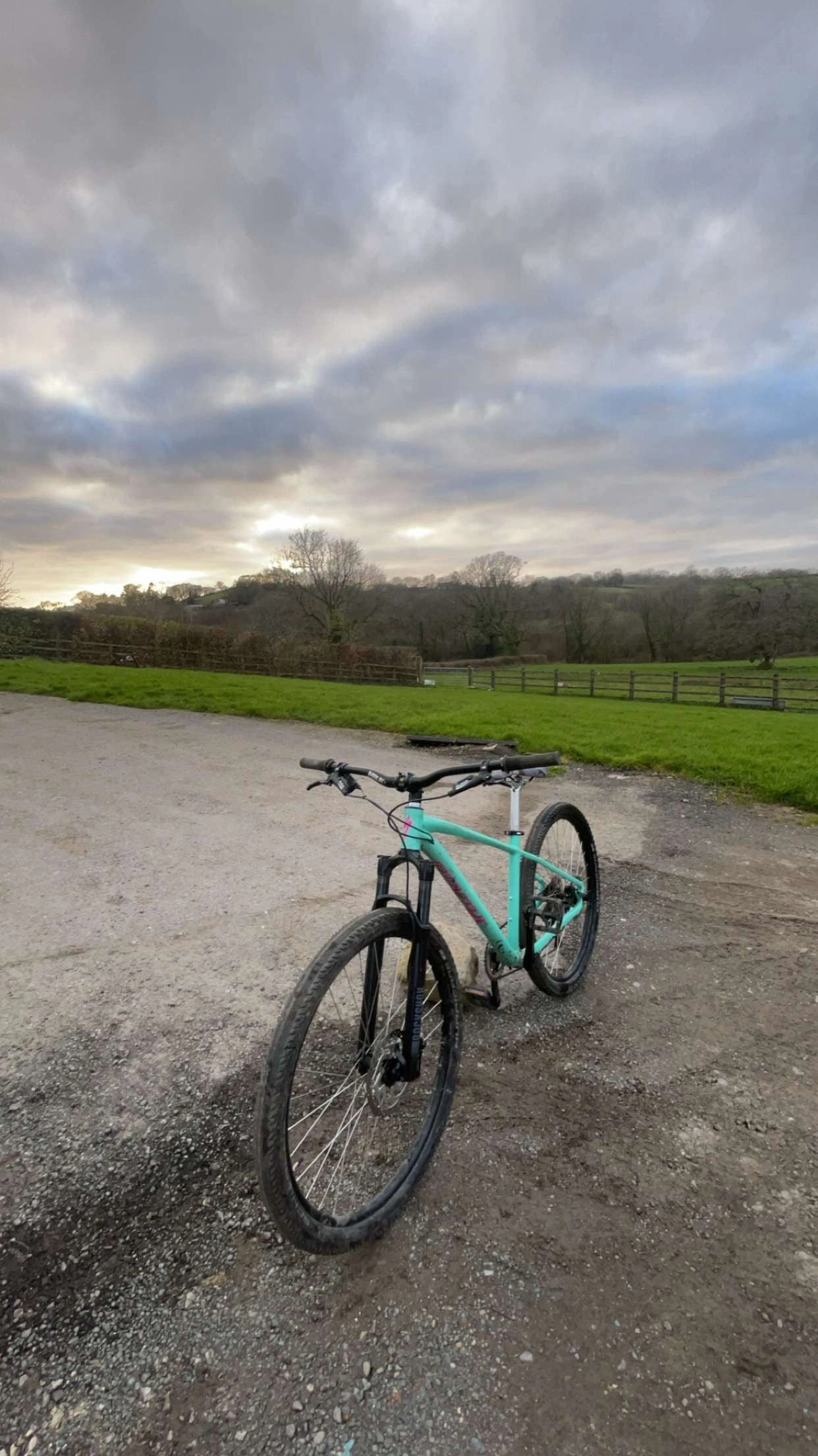 Specialized 2024