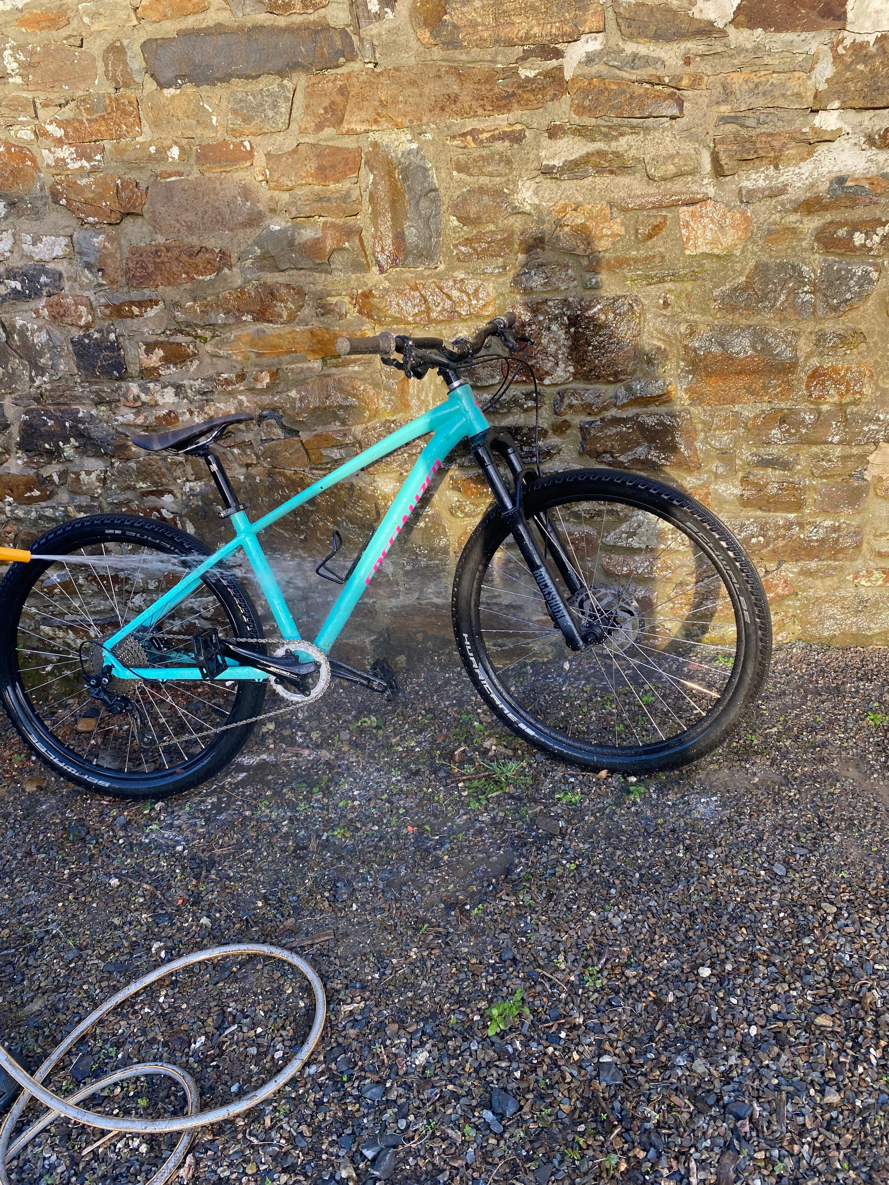 Specialized 2024