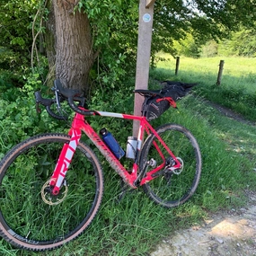 Specialized CruX 2021