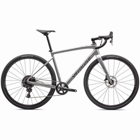 Specialized Diverge E5 Comp - Silver