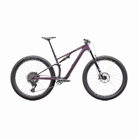 Specialized Epic 8 EVO Expert
