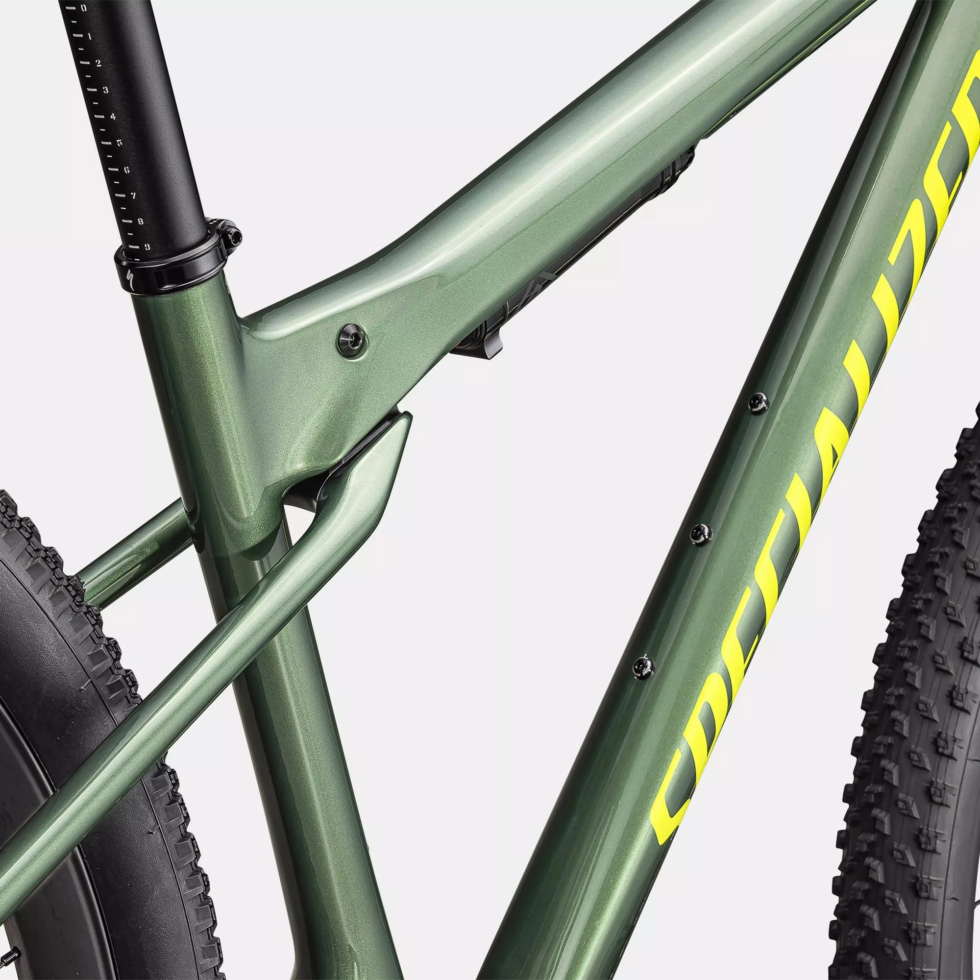 Specialized Epic World Cup Expert - Green