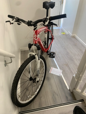 Specialized Men's Rockhopper Expert 2019