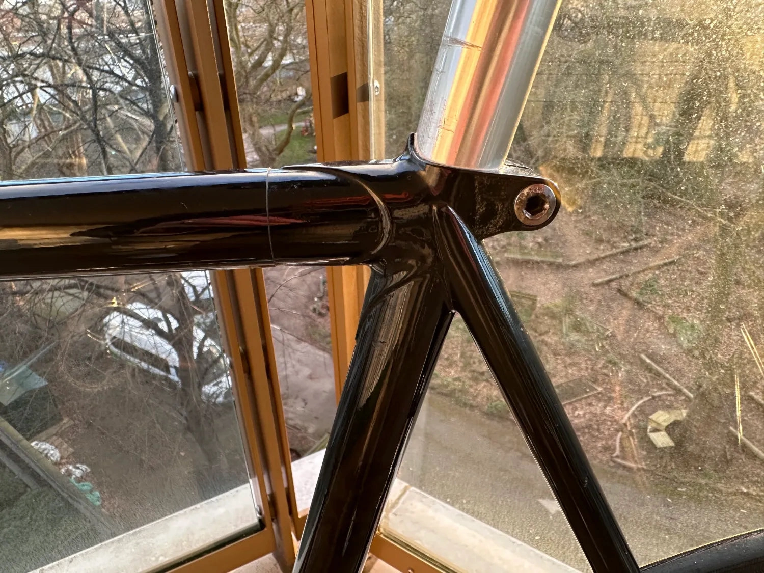 Standert Single Speed 2016