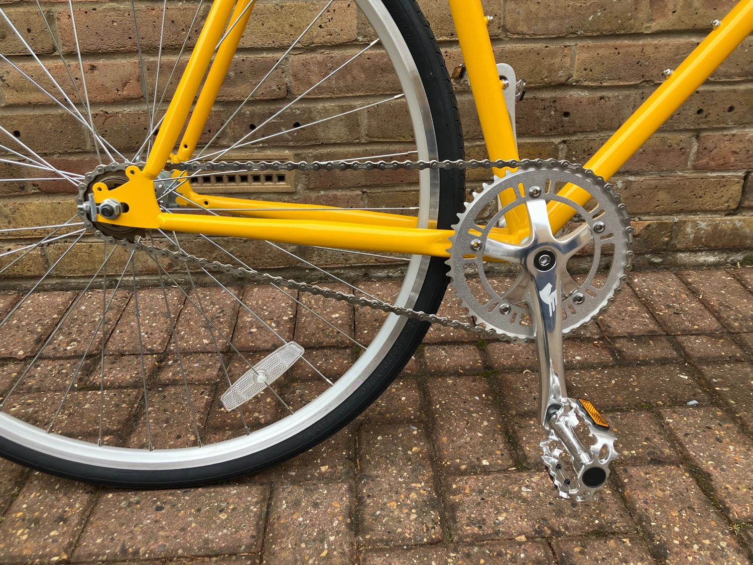 Steed Thoroughbred  2025