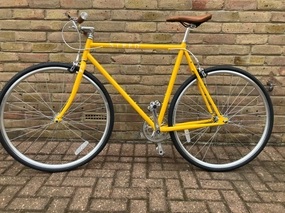 Steed Thoroughbred  2025