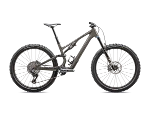 Stumpjumper 15 Expert (2025)