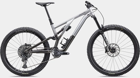 Stumpjumper EVO Elite Alloy GLOSS SILVER DUST / BLACK TINT