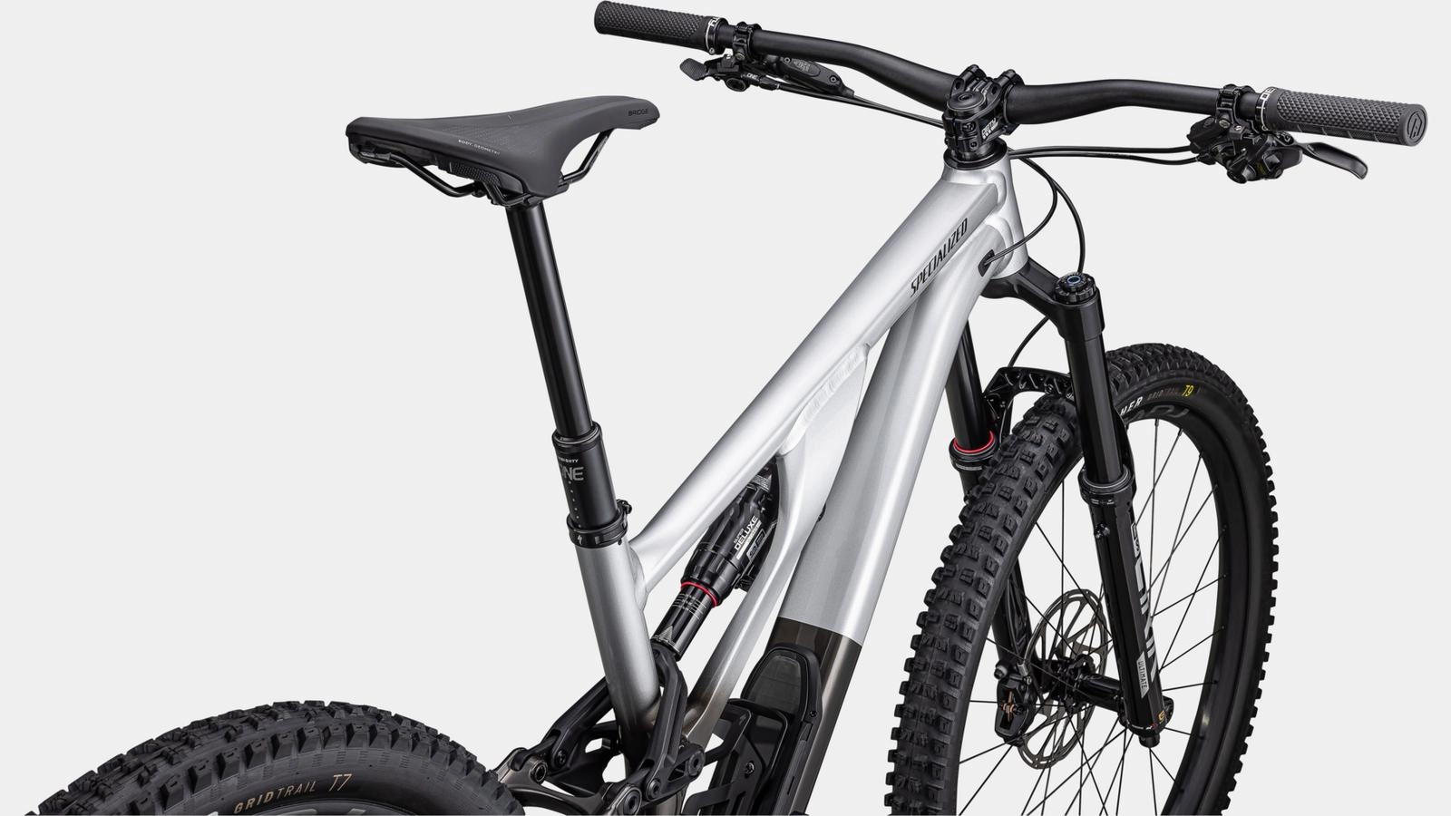 Stumpjumper EVO Elite Alloy GLOSS SILVER DUST / BLACK TINT