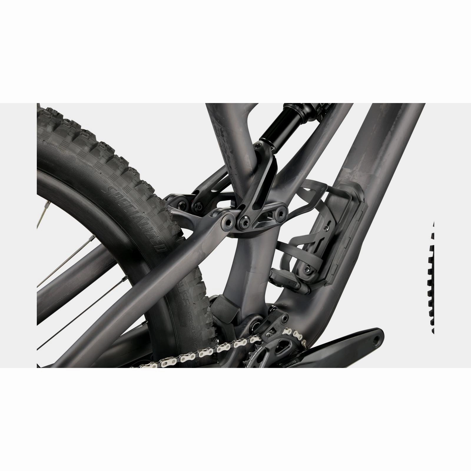 StumpJumper EVO Expert (2022)
