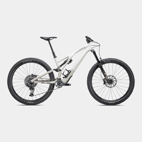 Stumpjumper EVO Expert