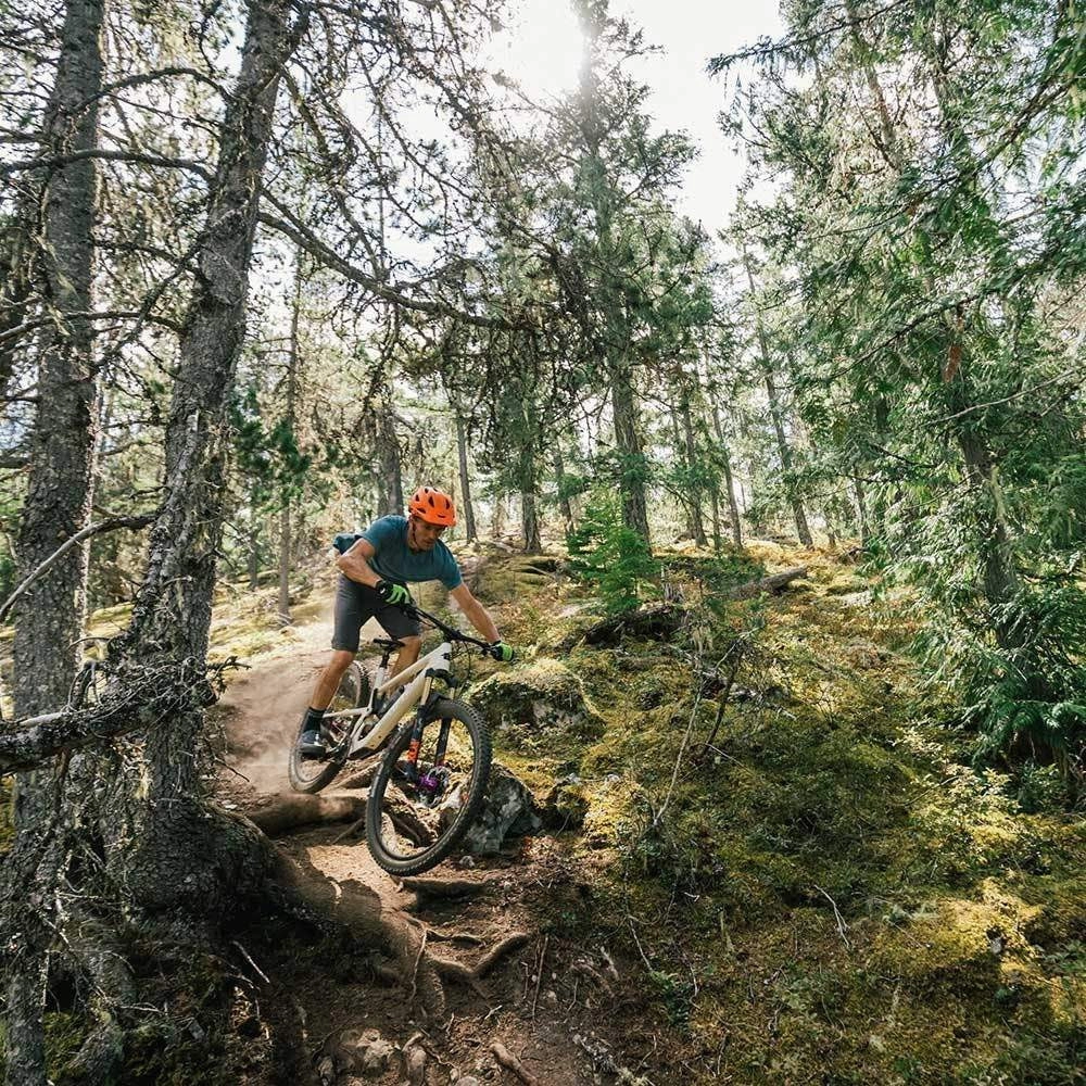 Tallboy 4 Carbon 29er Mountain Bike - S-Kit 2022