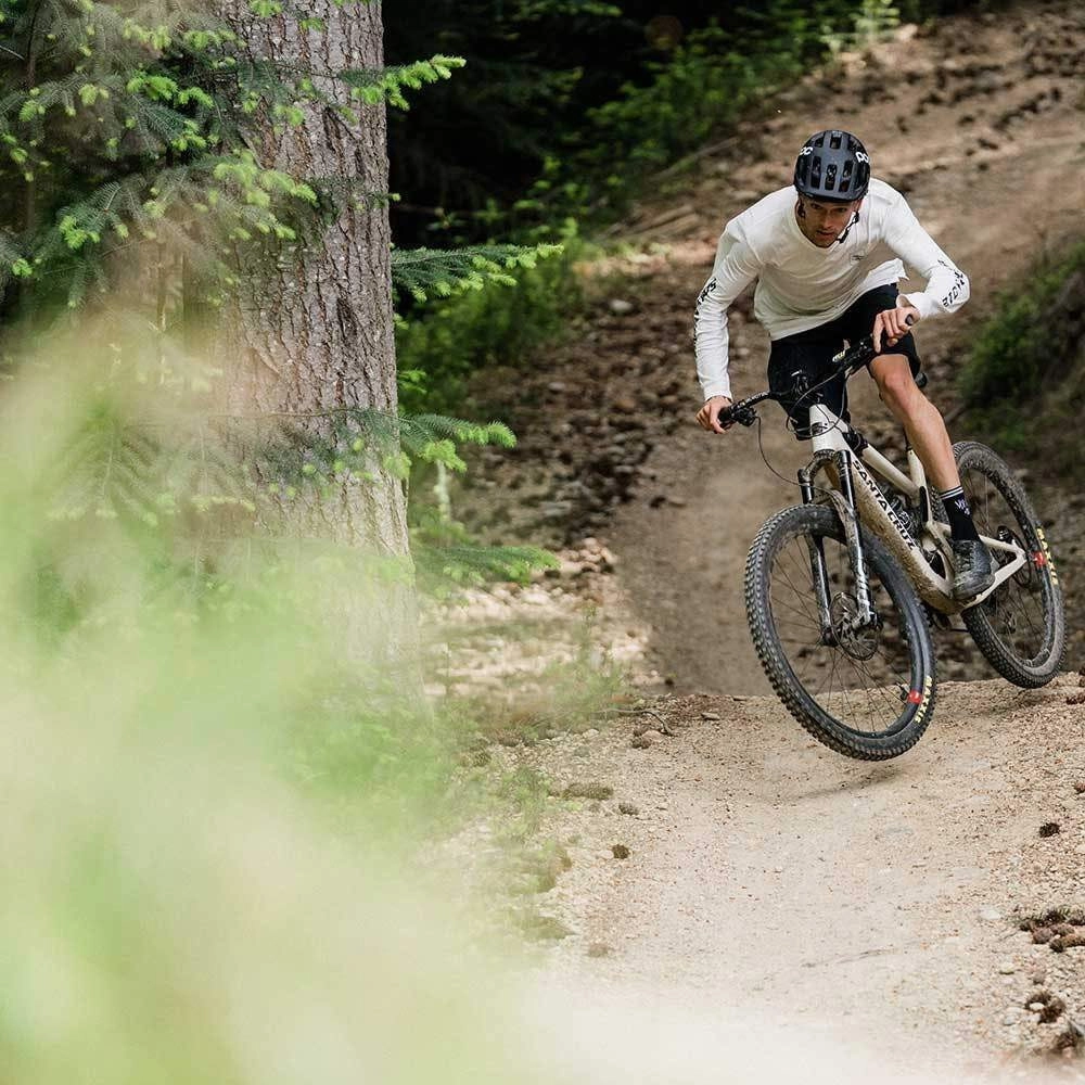 Tallboy 4 Carbon 29er Mountain Bike - S-Kit 2022