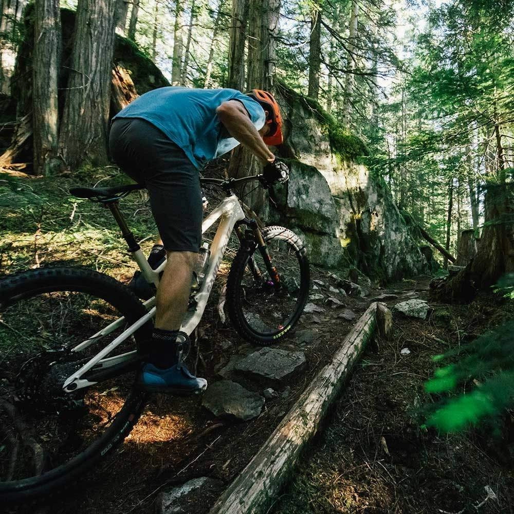Tallboy 4 Carbon 29er Mountain Bike - S-Kit 2022