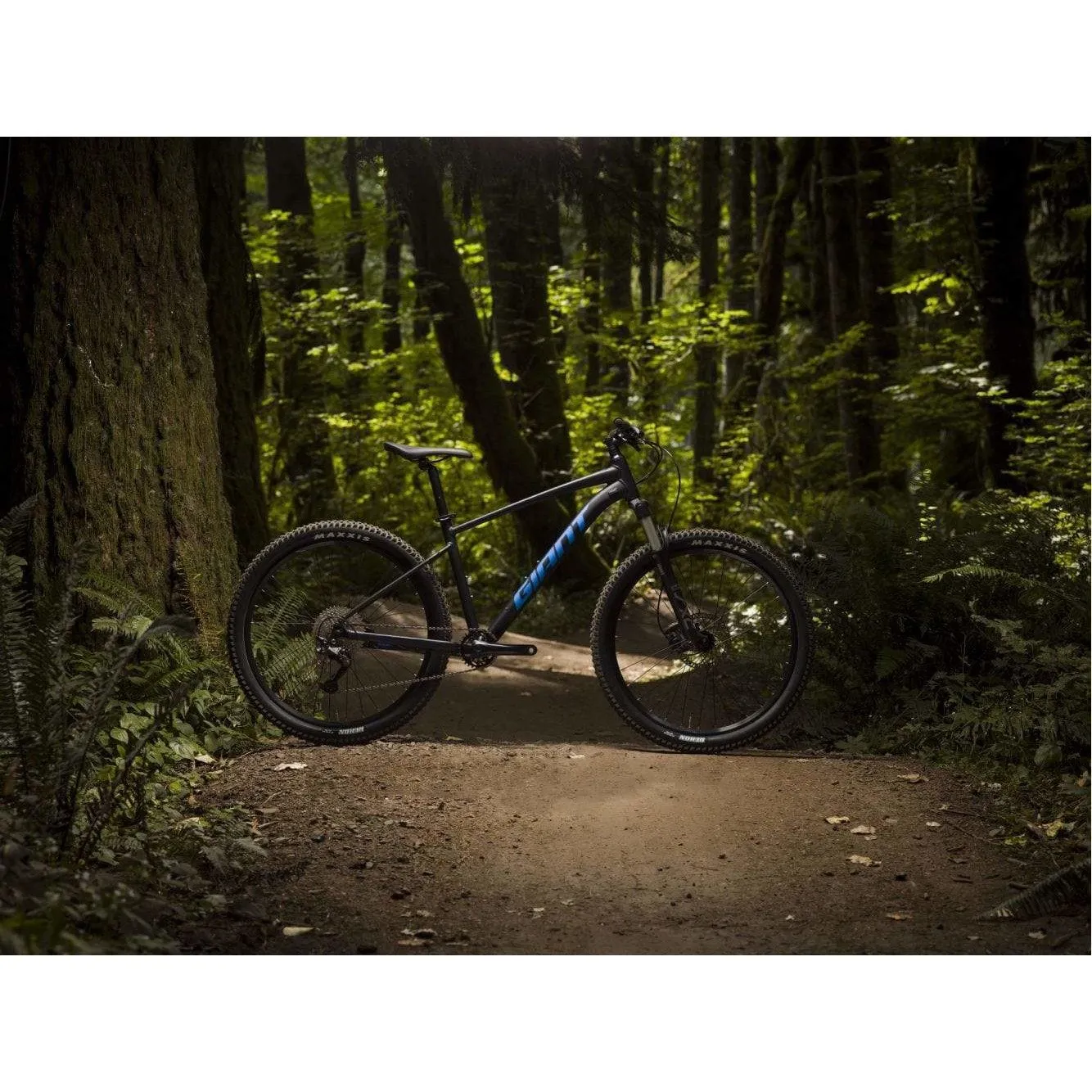 Talon 1 27.5" Mountain Bike (2022)