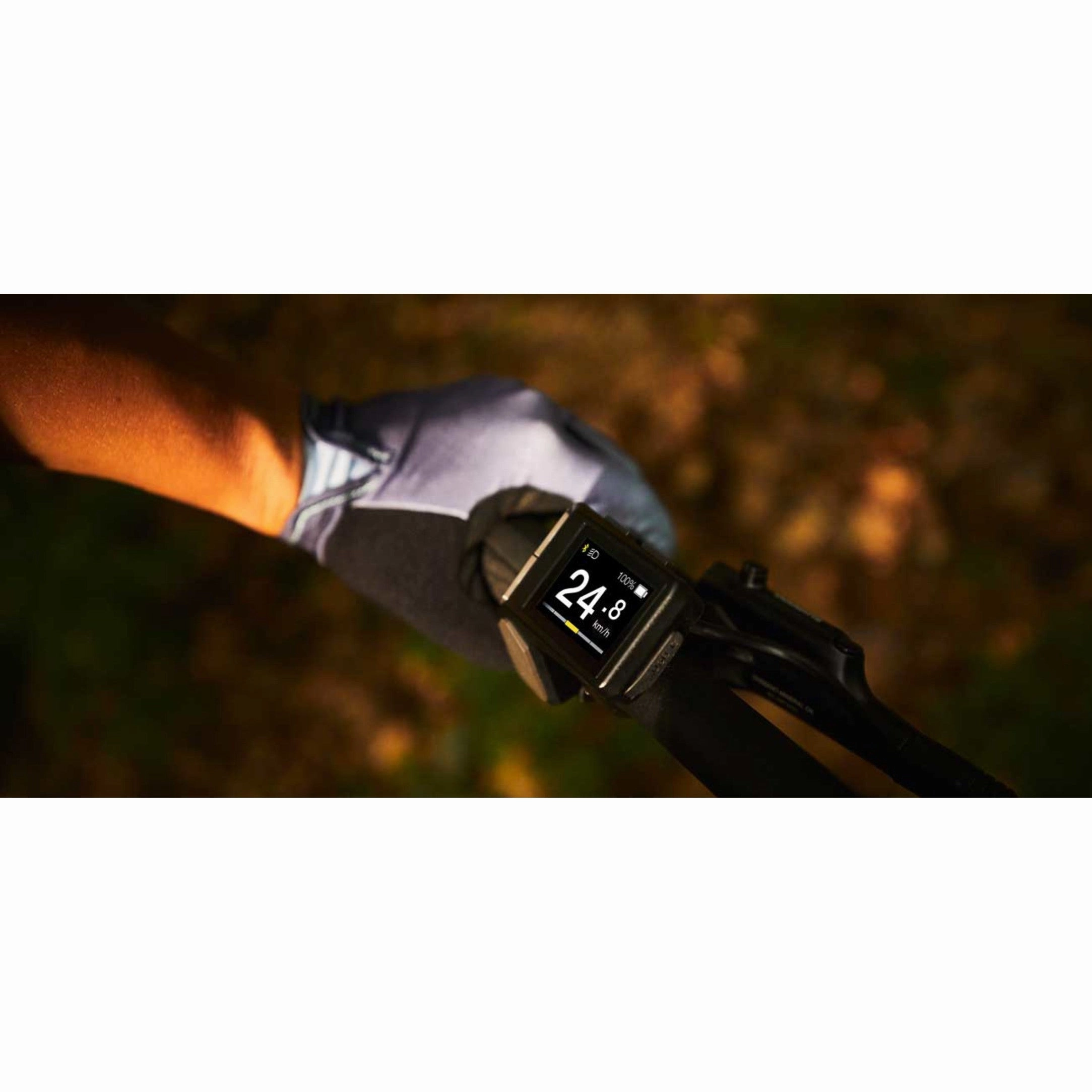 Tempt E  3 29" Electric Mountain Bike (2022)