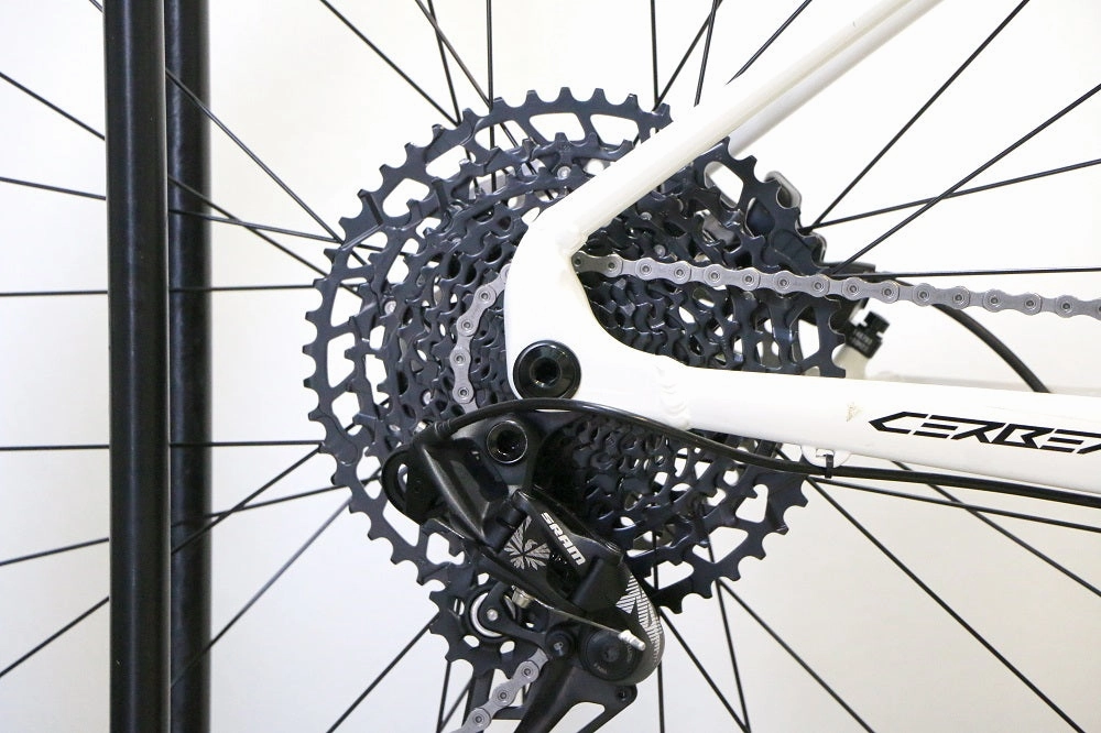 TITAN RACING Cerberus Expert (2025)