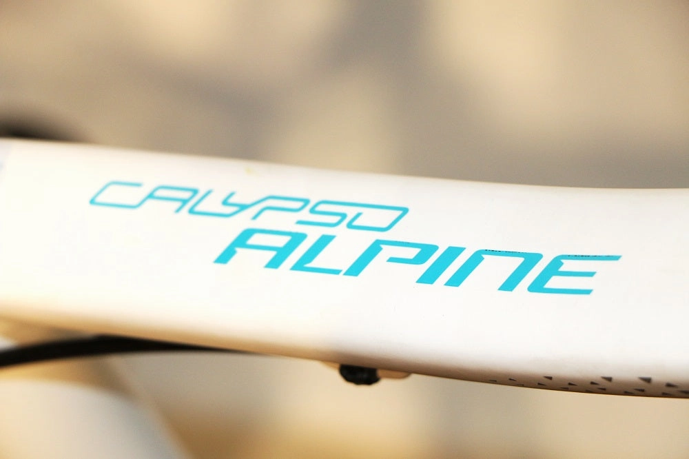 TITAN RACING Rogue Calypso Alpine (2023)