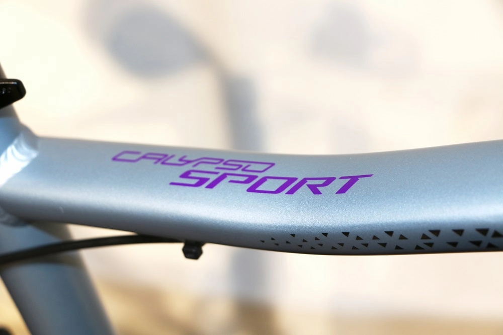 TITAN RACING Rogue Calypso Sport (2023)