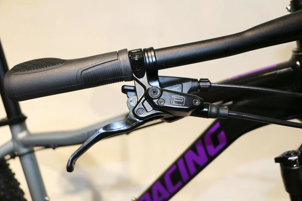 TITAN RACING Rogue Calypso Sport (2023)