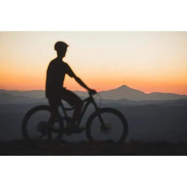 Trance Advanced Pro 3 29er Mountain Bike (2021)