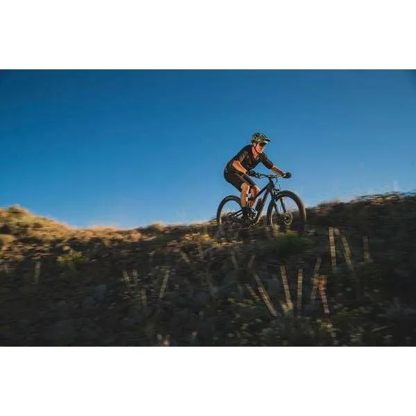 Trance Advanced Pro 3 29er Mountain Bike (2021)