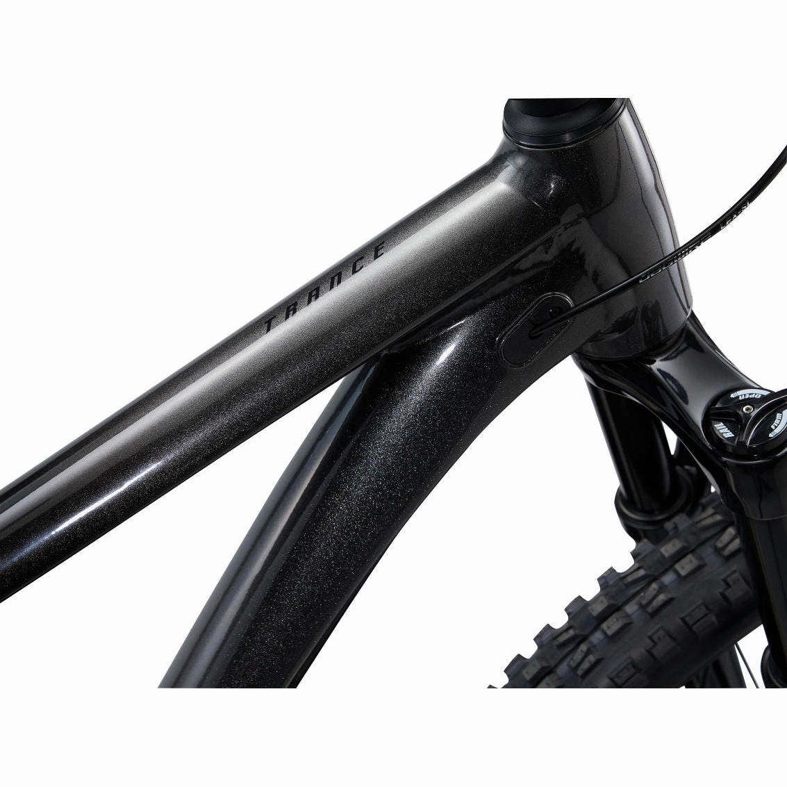Trance 2 29er Mountain Bike (2022)
