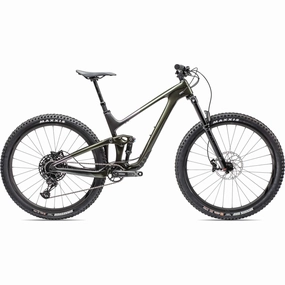 Trance X Advanced Pro 29er 3 Mountain Bike
