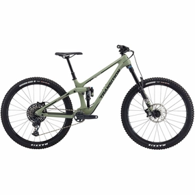 Transition Sentinel Carbon GX Mountain Bike 2024 - Misty Green