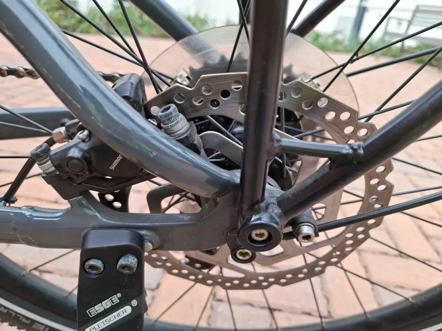 Trek Allant  5 2021