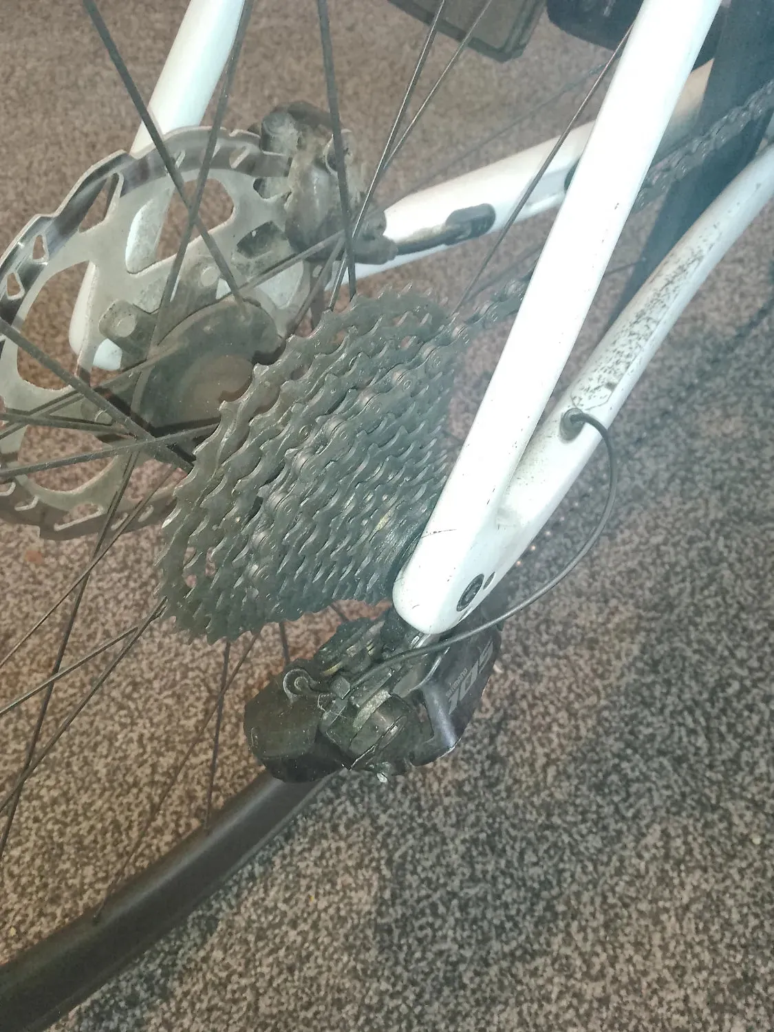 Trek Emonda 2024