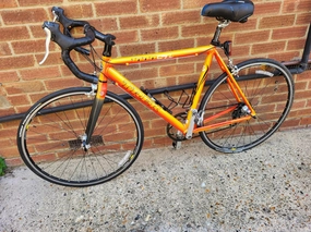 Trek 1.1 2009
