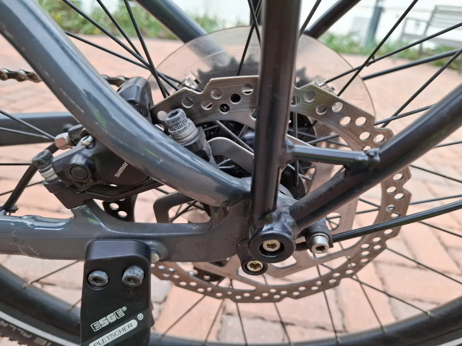 Trek Allant  5 2021