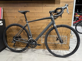 Trek Domane AL 2 Disc 2025