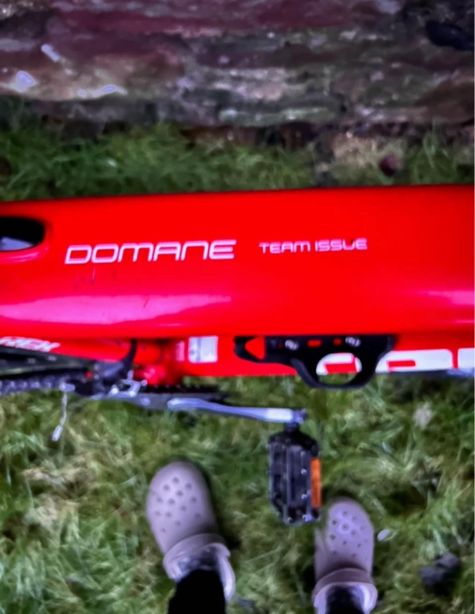 Trek Domane ALR 4 2017