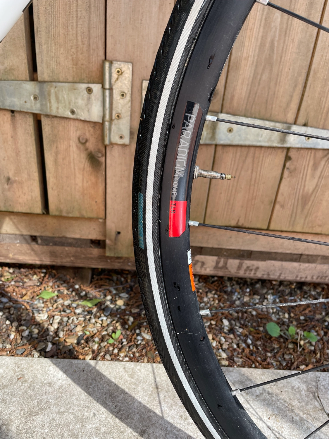 Trek Domane SLR 6 2020