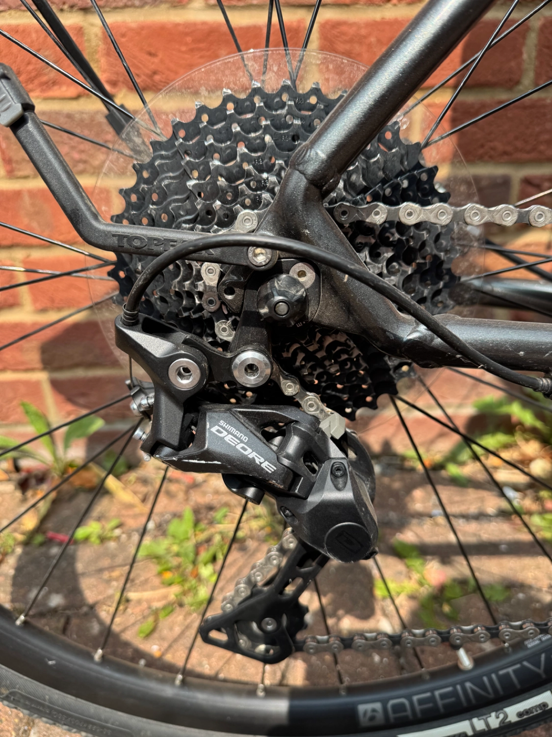Trek Dual Sport 4 2019