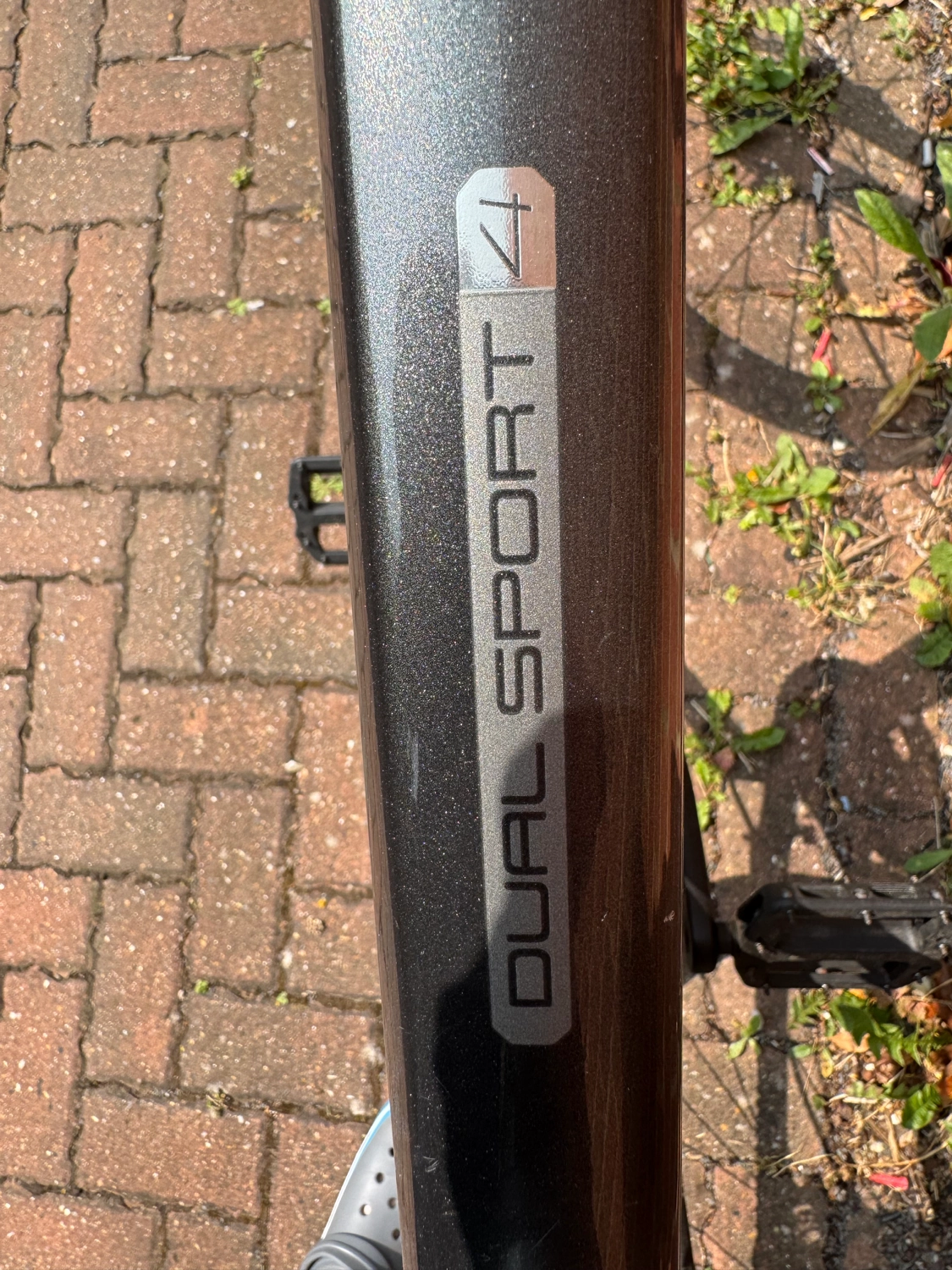 Trek Dual Sport 4 2019