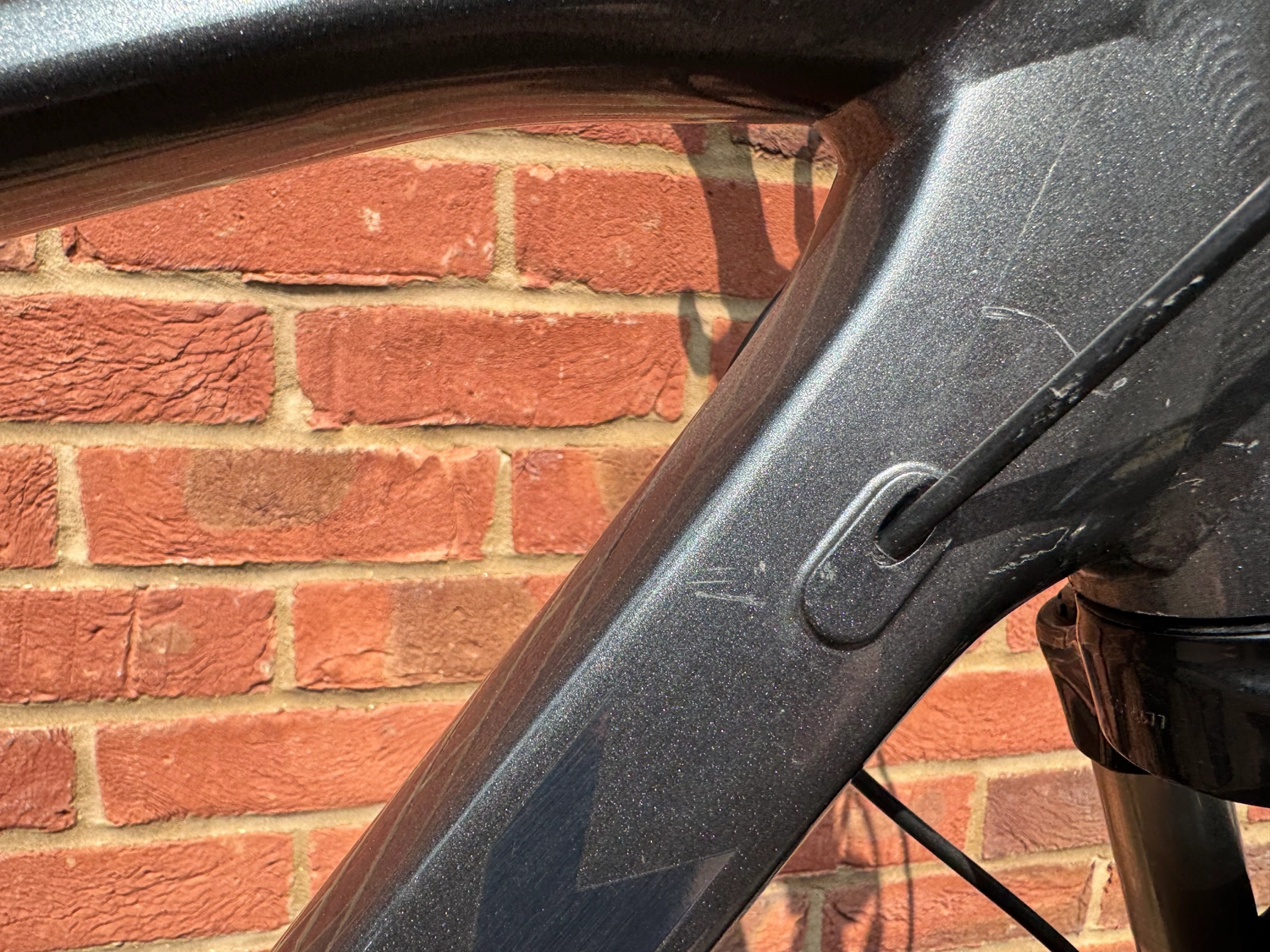 Trek Dual Sport 4 2019