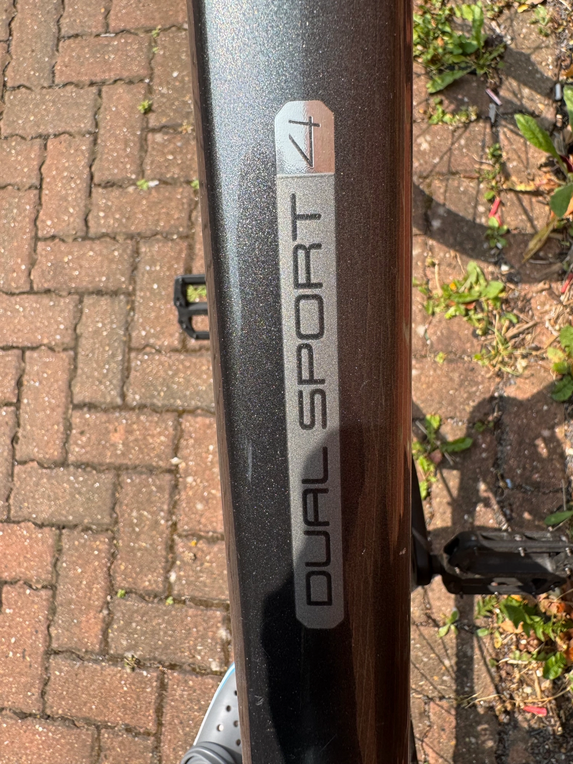 Trek Dual Sport 4 2019